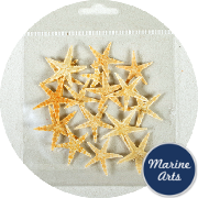 8742-15-P8 - Craft Pack - Starfish - Mini